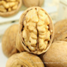 EU standard walnut kernel